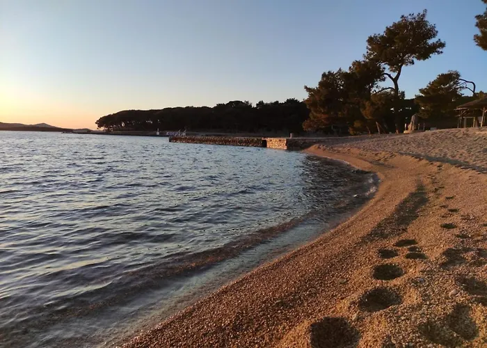 Mobile Pallas キャンプ場